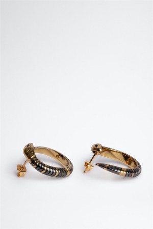 Zadig & Voltaire Snake Hoop Earrings Doradas | ZV-255881