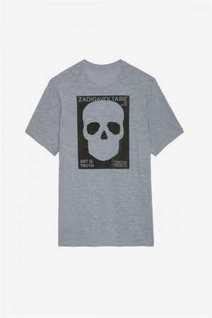 Zadig & Voltaire Stockholm Skull T-shirt Gris | ZV-255685