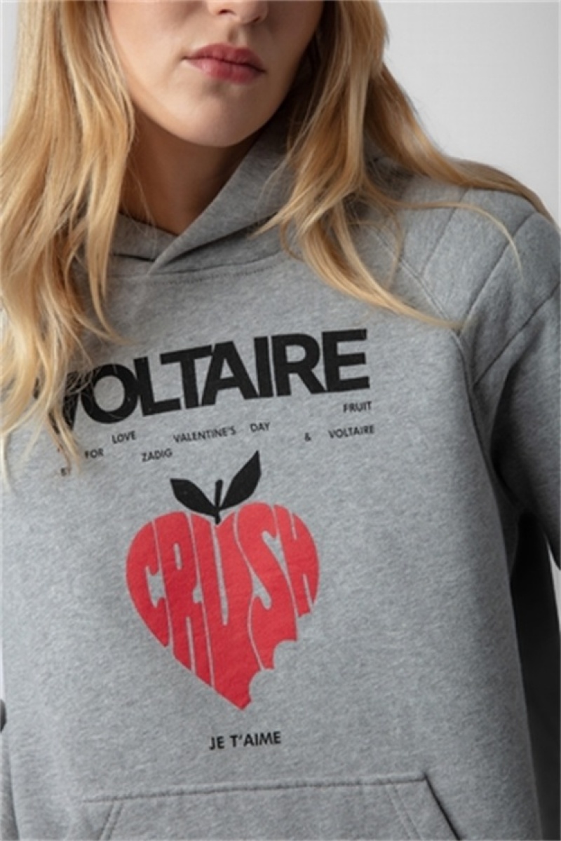 Zadig & Voltaire Evata Concert Crush Hoodie Gris | ZV-256253