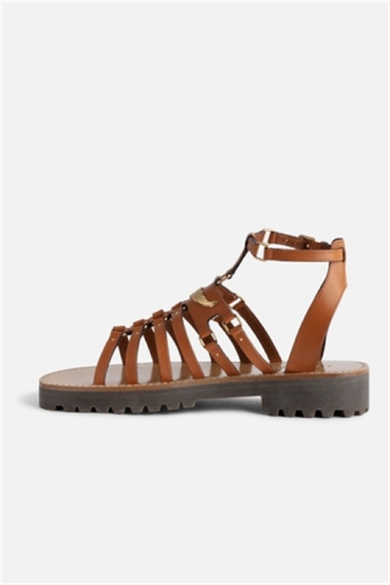 Zadig & Voltaire Joe Sandals Marrones | ZV-255790