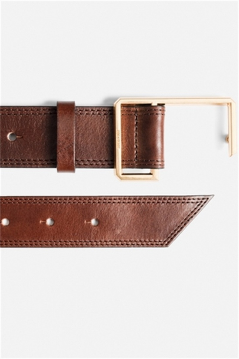 Zadig & Voltaire La Cecilia Belt Marrones | ZV-255826