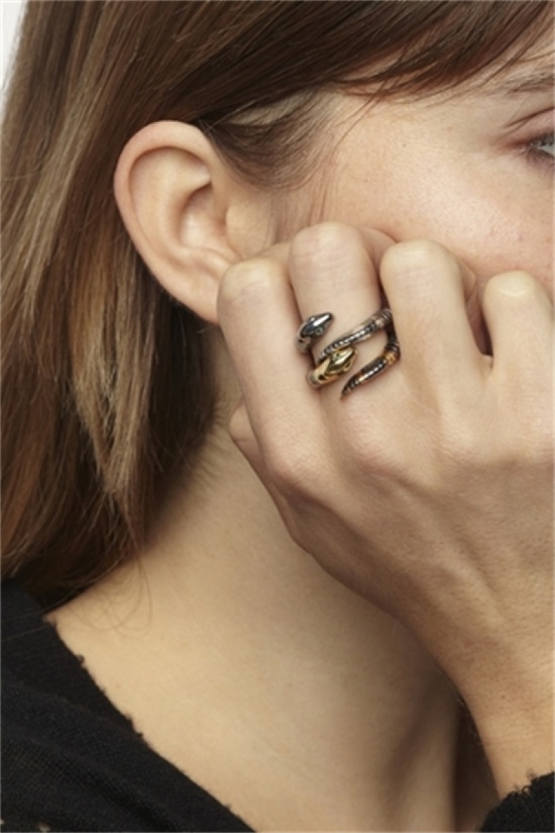 Zadig & Voltaire Snake Ring Plateadas | ZV-255886